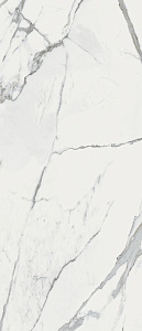Calacatta White Honed